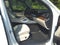 2025 Mercedes-Benz GLE GLE 450 4MATIC®