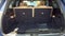 2024 Mercedes-Benz GLS GLS 450 6 SEATER CAPTS 4MATIC®