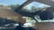 2025 Mercedes-Benz GLS GLS 450 4MATIC®