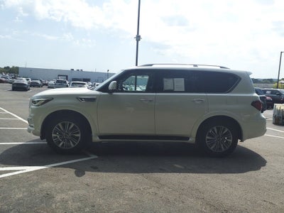 2024 INFINITI QX80 LUXE