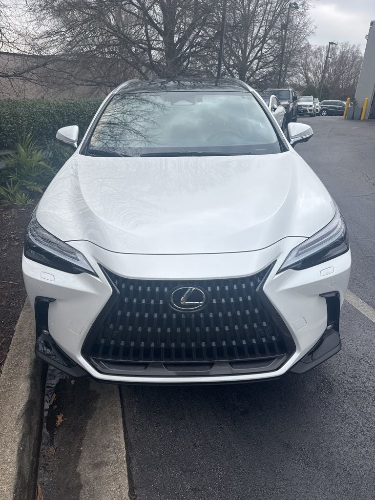 2025 Lexus NX 350h Luxury